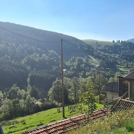D'hotes En Montagne Pres De Sentiers - Fr-1-589-821 Bed & Breakfast *