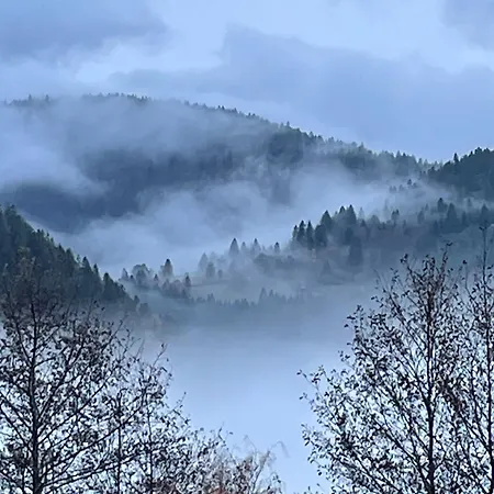 D'hotes En Montagne Pres De Sentiers - Fr-1-589-821 * 방트롱